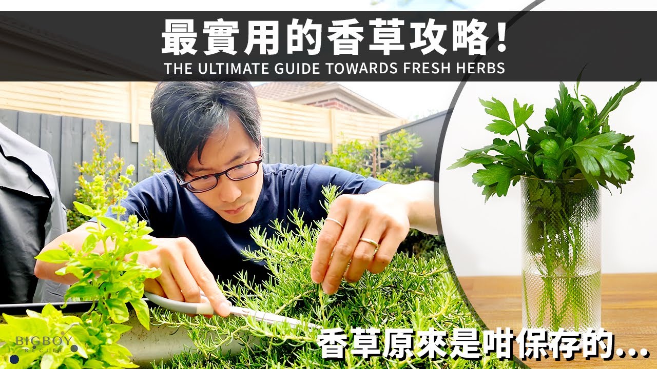 【最實用香草攻略】10款最常用香草一次過講晒！點用、點切、點保存？｜中英字幕｜BigBoyRecipe 藍帶的餐桌
