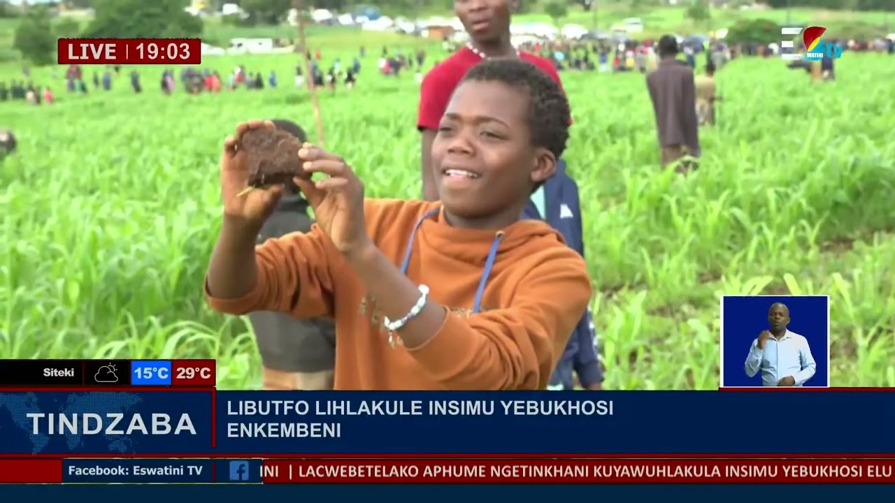 Libutfo lihlakule insimu yeBukhosi eNkembeni.
