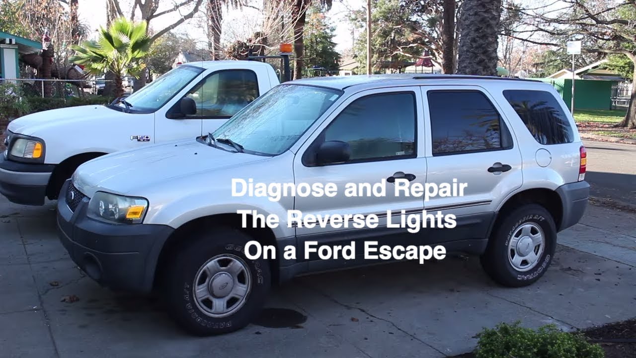 Диагностика и ремонт фонарей заднего хода на Ford Escape 2005 года