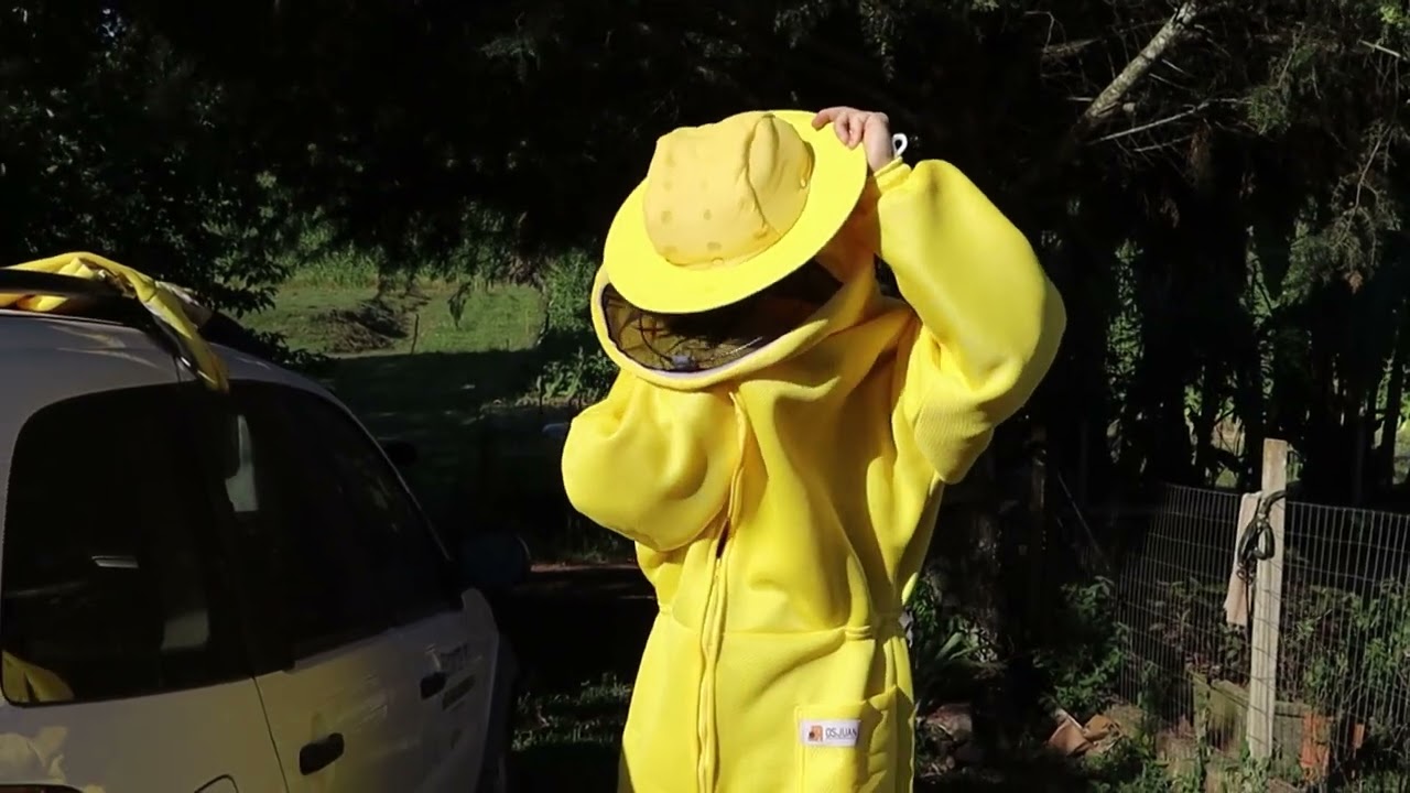 Manejo e cuidados na apicultura garantem maior produtividade - Rio Grande Rural