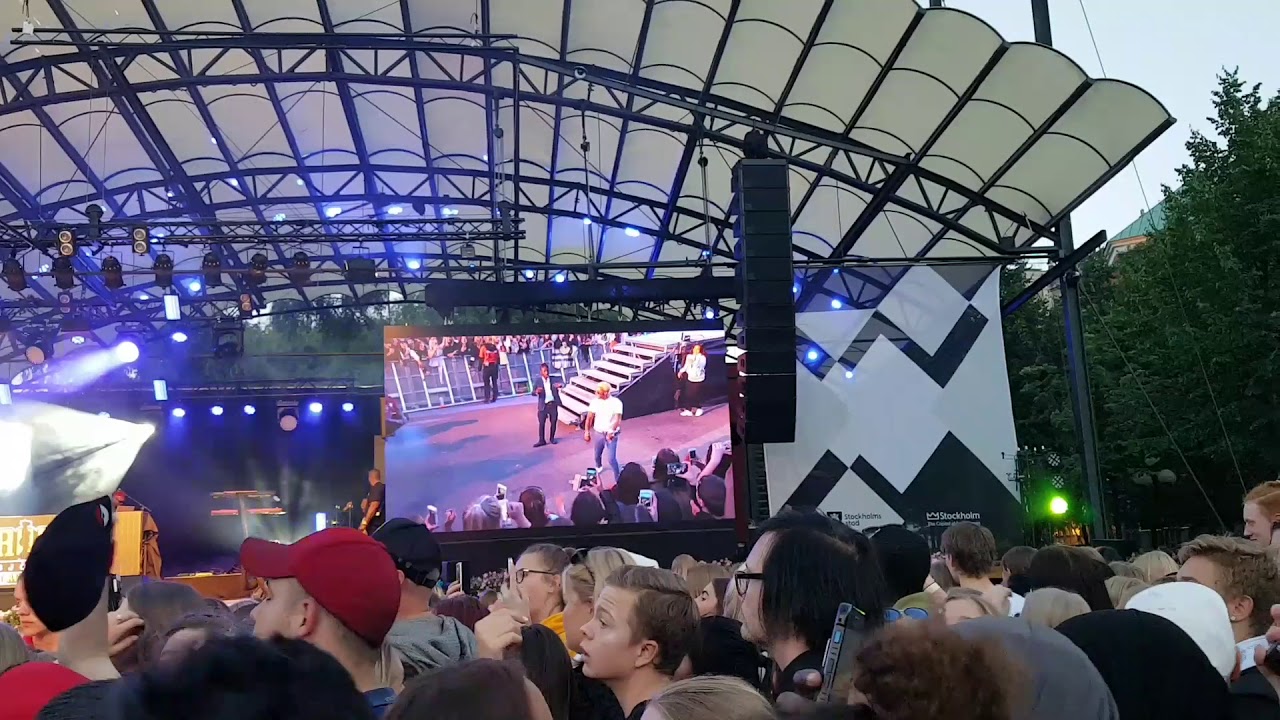 Ricky Lamar Hawk, Silent&oacute;