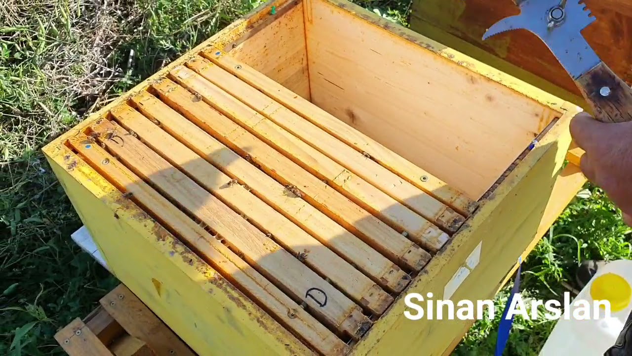 kış a hazırlık bütün koloni kontrollü