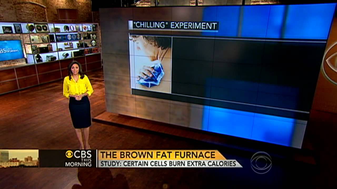Brown fat: Fat that makes you thin
