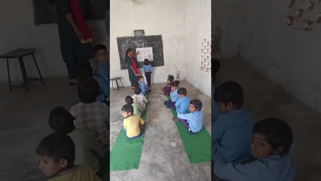 DECE-4 क्रिया सत्र 19 क्रिया से संग्यानात्मक विकास होगा