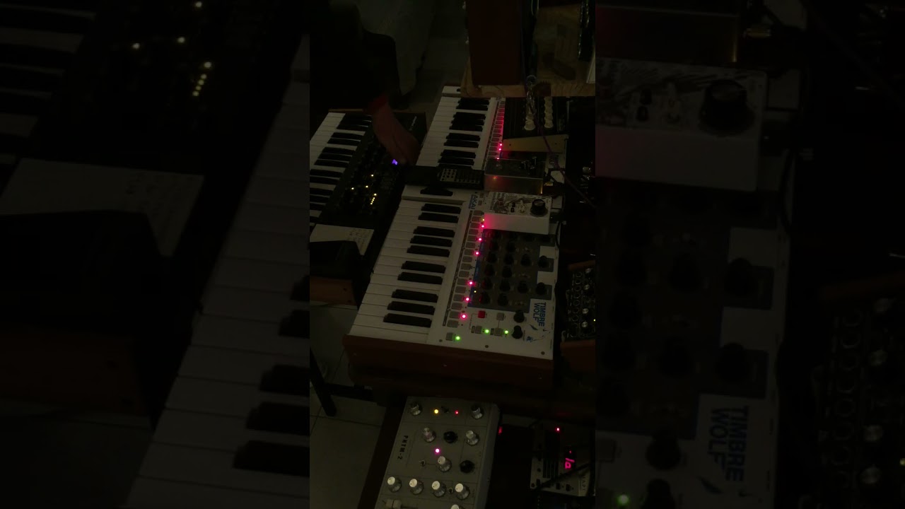 EPSILON GROOVE My/Dark Energy - Ritm2- MoPhoX4 #electronicmusic #music #analogsynth #techno #akai
