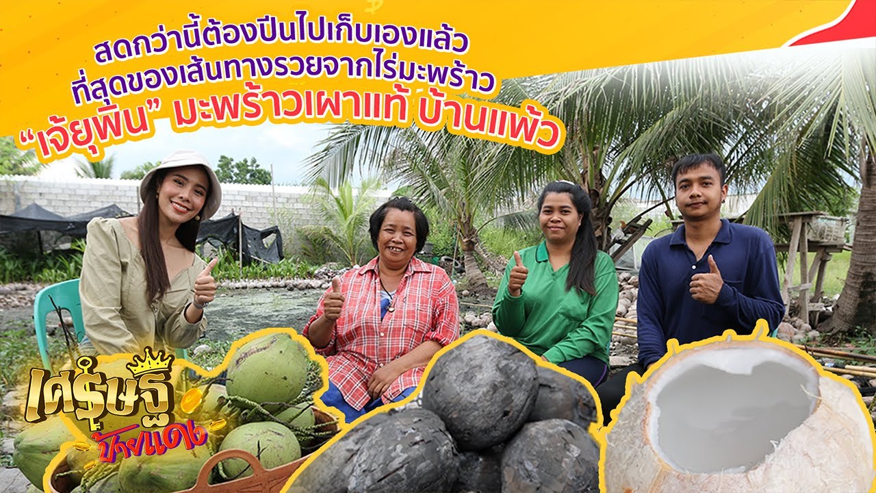 พาตะลุย 
