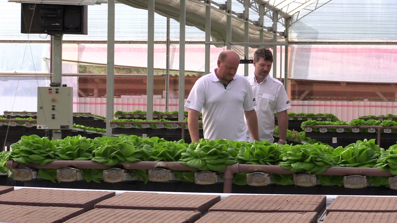 Healthy business with a human touch