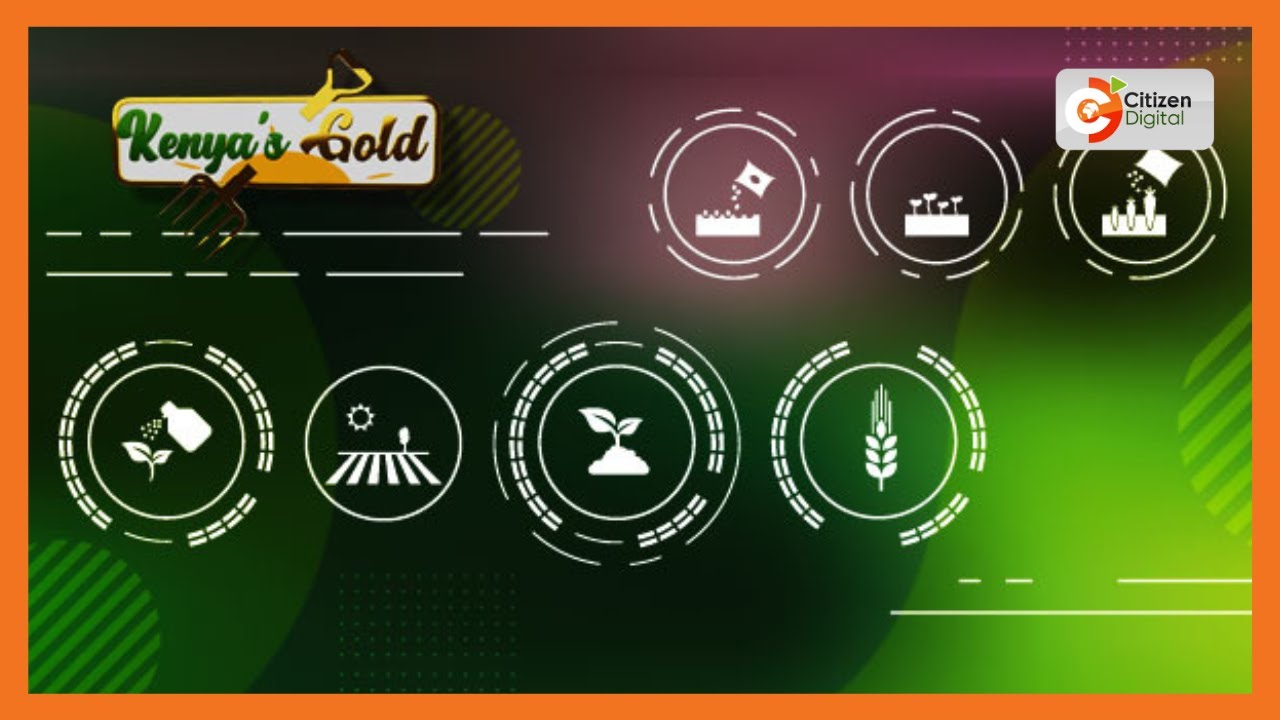 Kenya's Gold | Clean renewable energy sources - Gold Chat (Part 1)