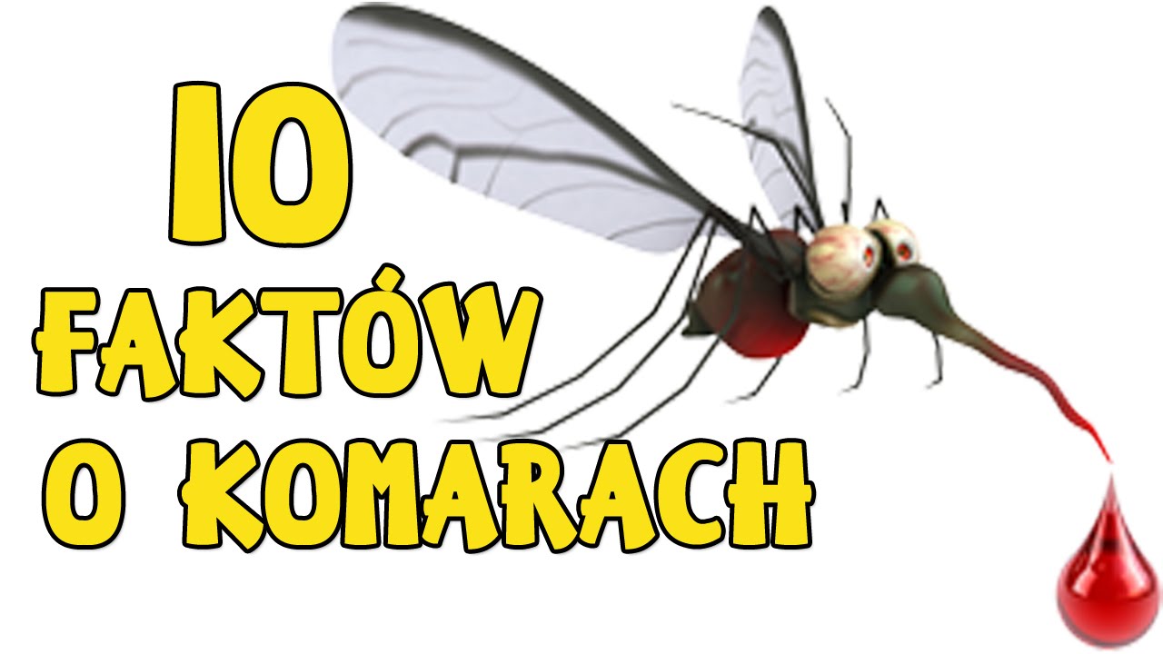 10 Fakt&oacute;w o komarach