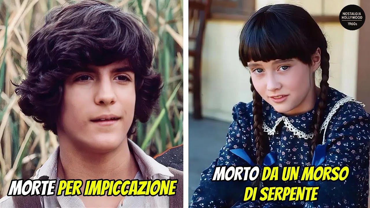 26 attori di 
