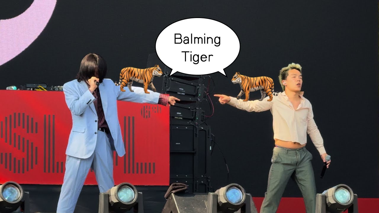 [?log] 🐅 Balming Tiger (바밍타이거) | Kolo Kolo, Buriburi, 섹시느낌, SOS | SLSL 2024