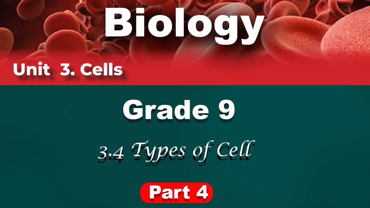 Grade 9 Biology unit 3 part 4 | cells | Types of cell | የ9ኛ ክፍል ባዮሎጂ ምዕራፍ 3 ክፍል 4