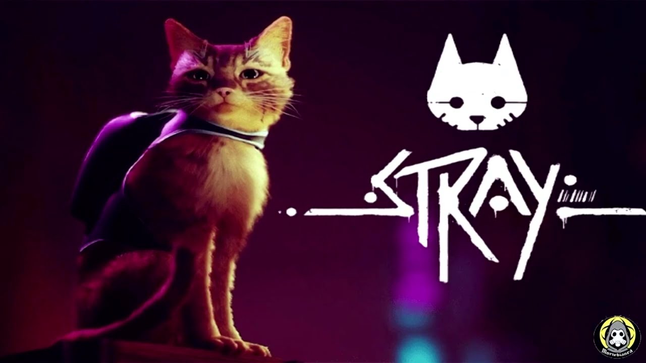 La Filosofia di STRAY