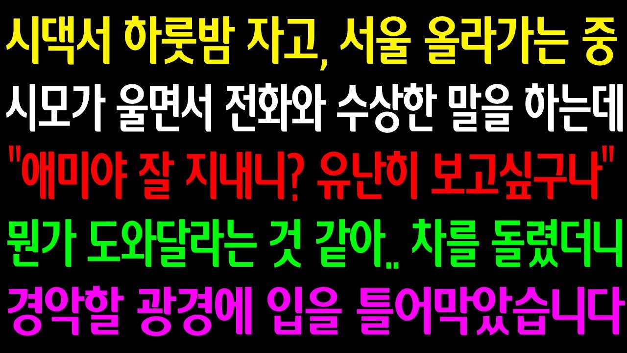 (실화사연) 시댁서 하룻밤 자고 서울 올라가는 중 시모가 울면서 전화와 수상한 말을 하는데 “애미야 보고 싶구나” 도와달라는것 같아 차를 돌렸더니 경악할 광경에 입을 틀어막았습니다