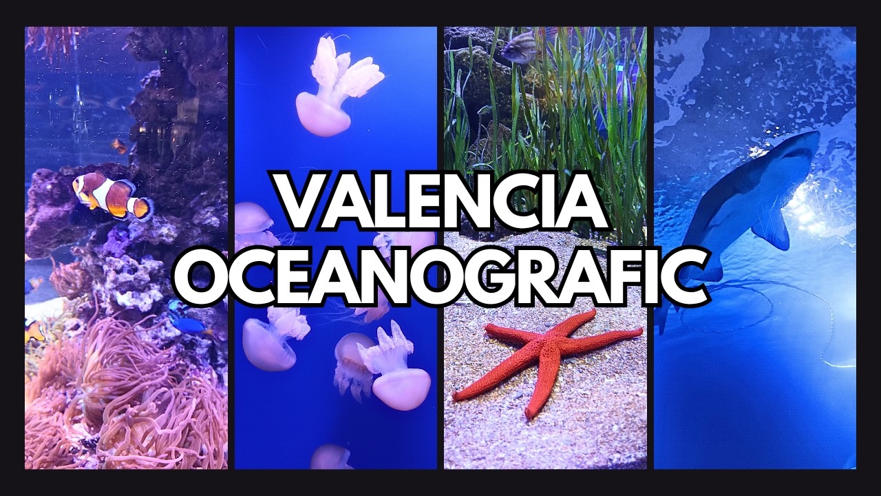 Quoi voir, quoi faire à Valencia la visite de l'Oceanografic Valence Espagne