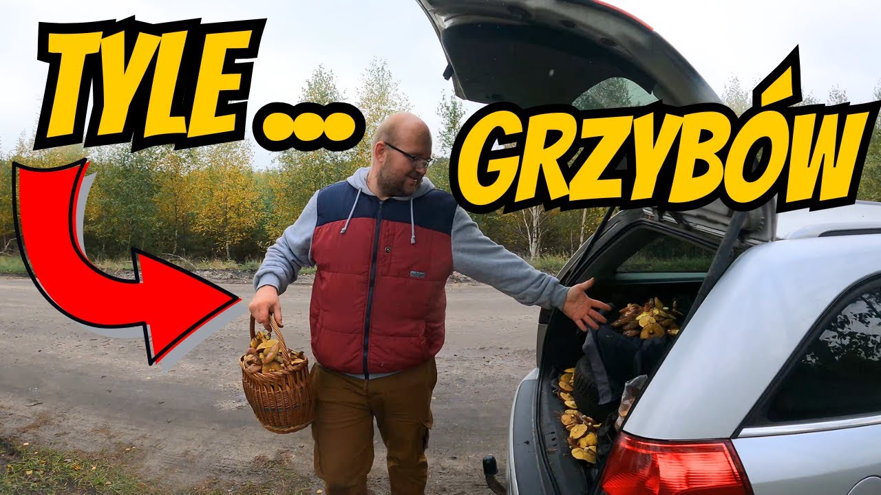 TO był wysyp!! GRZYBY w październiku Rydze i Maślaki w naszym koszyku Rodzinne grzybobranie