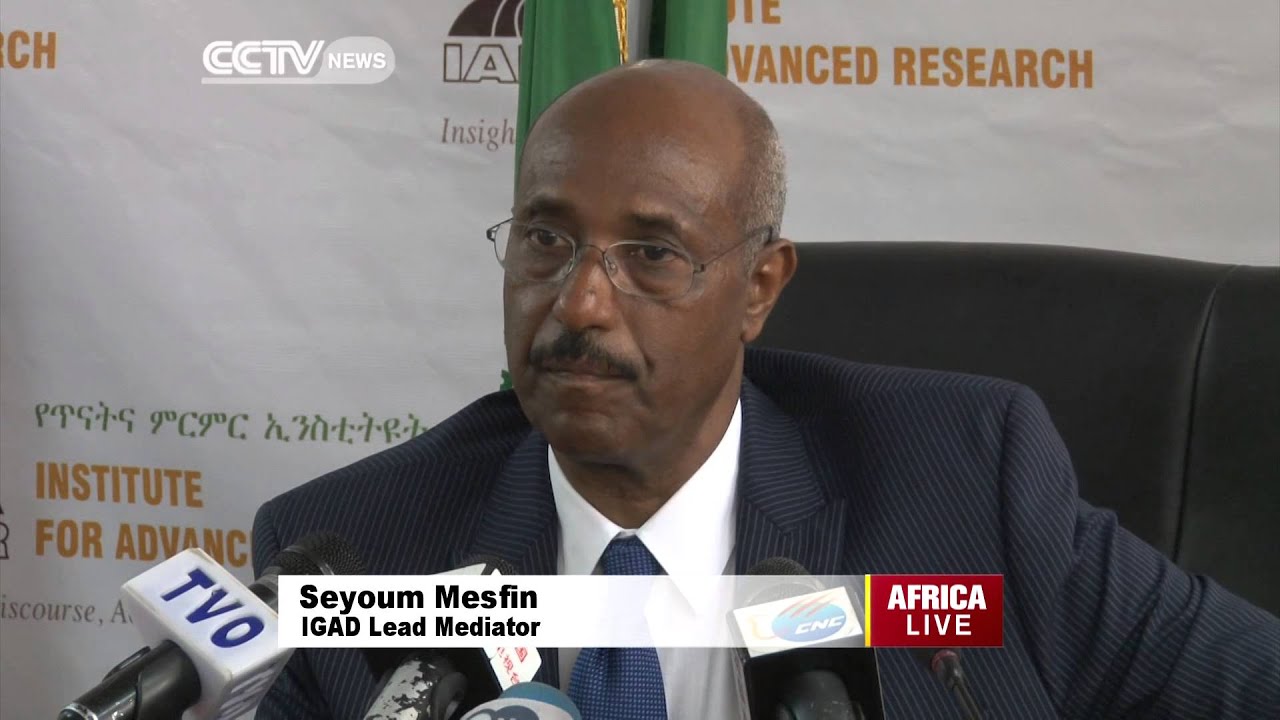 AU, IGAD Call On South Sudanese To Stop Fighting