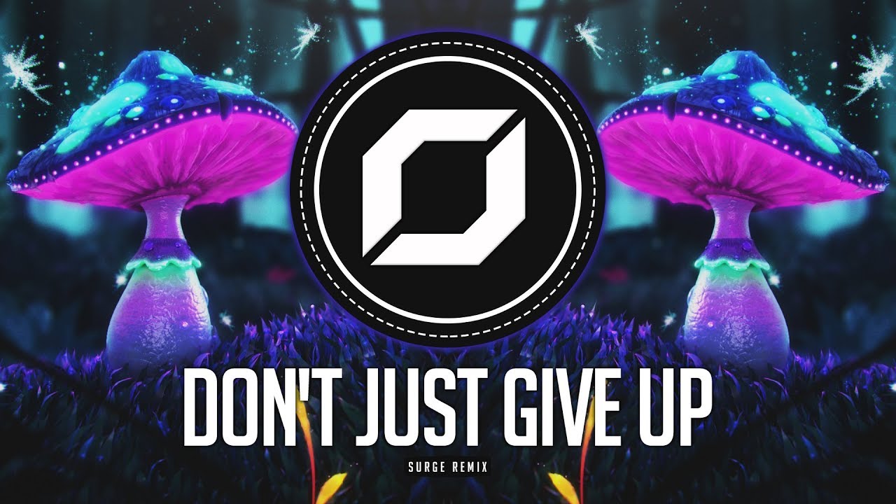 PROG-TRANCE ◉ Neelix - Don't Just Give Up (Surge Remix)