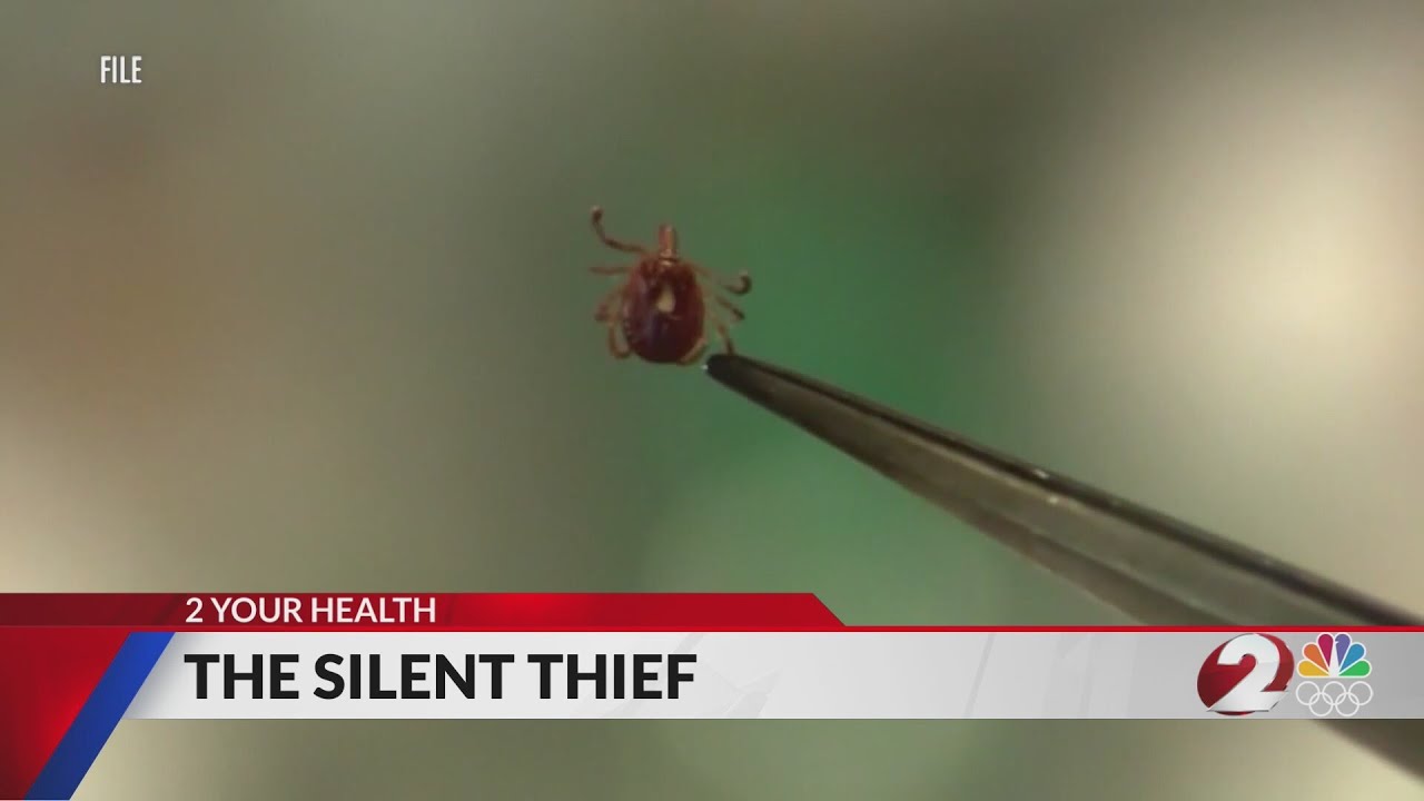 Lyme patients getting more support from government