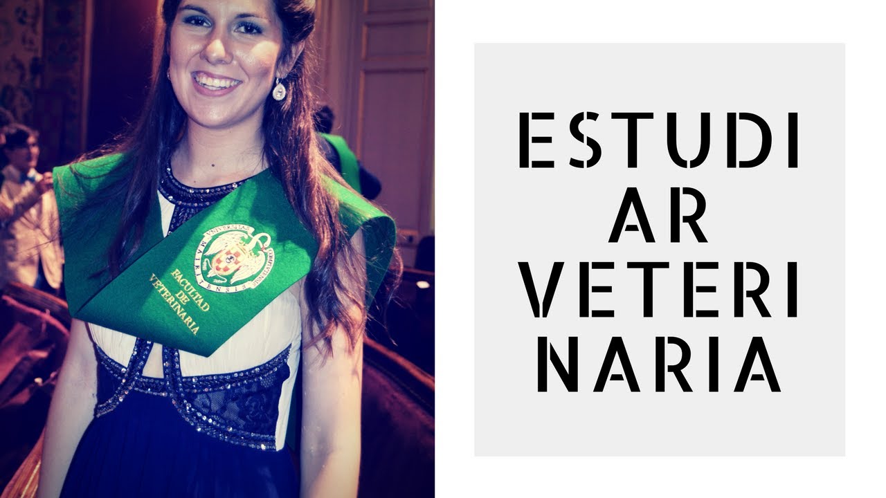 ESTUDIAR VETERINARIA: experiencia y consejos