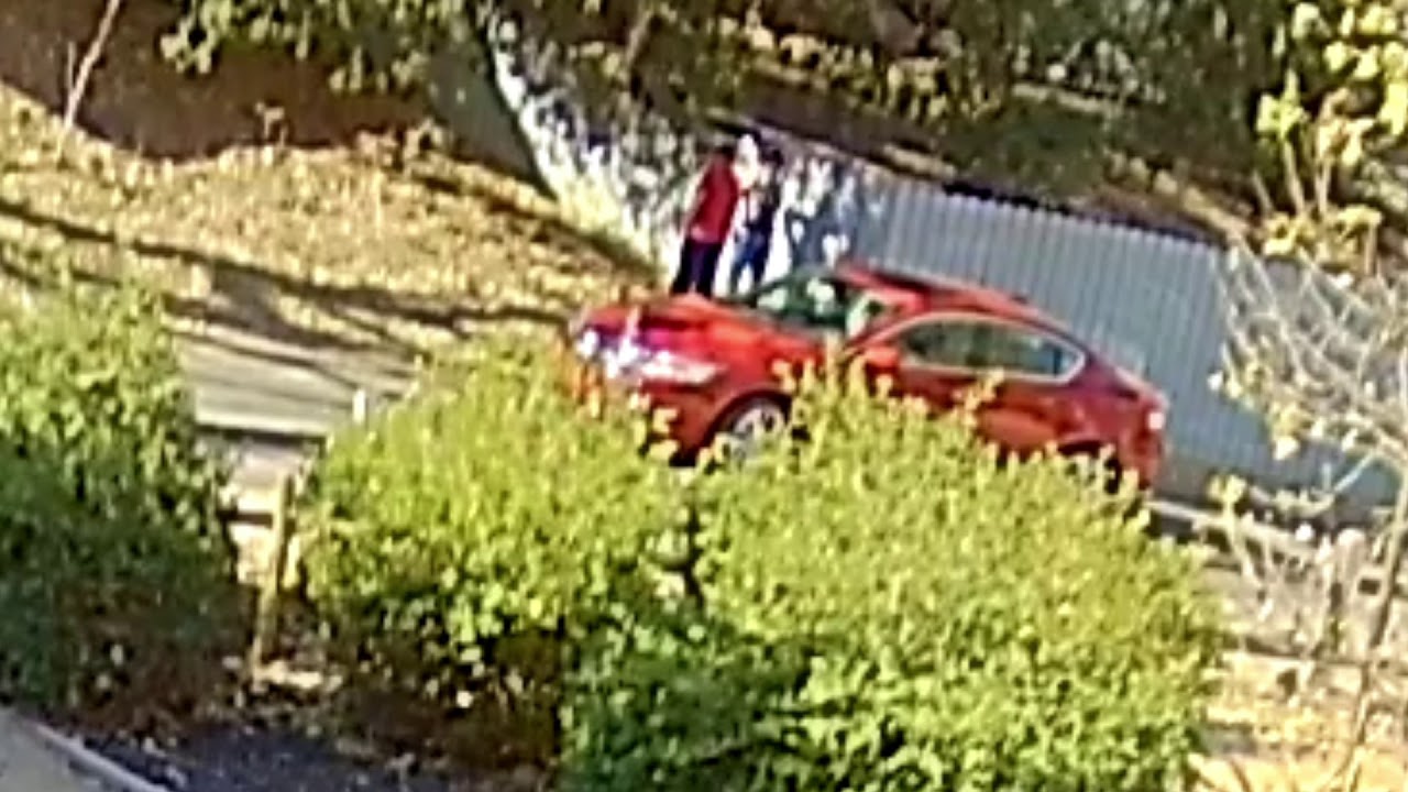 Caught on RING camera, couple taking a piss.