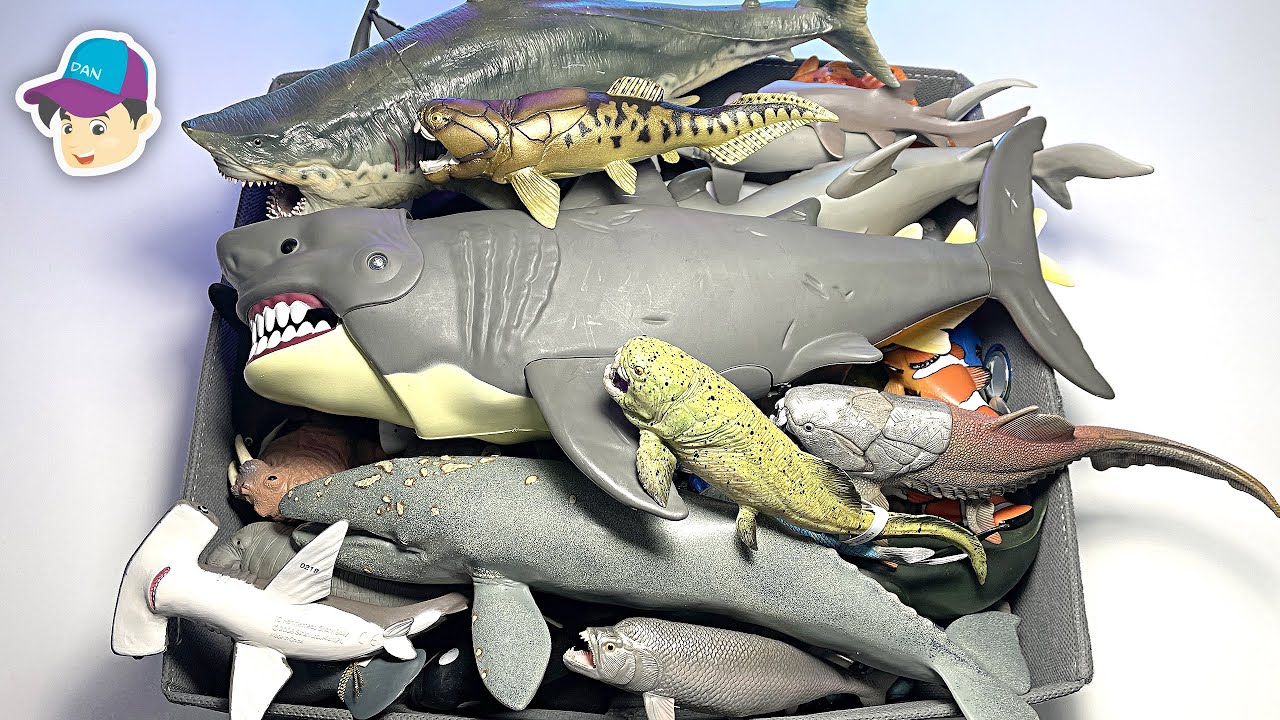 Awesome Sea Animals - Sharks Dolphins Whales Fish Turtles Seals Marine Pilot Whale Humpback Narwhal