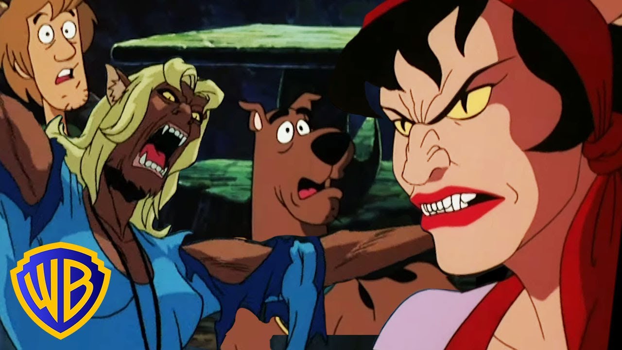 Sauvetage par les Gens-Chats | Scooby-Doo! en Français 🇫🇷@WBKidsFrançais​