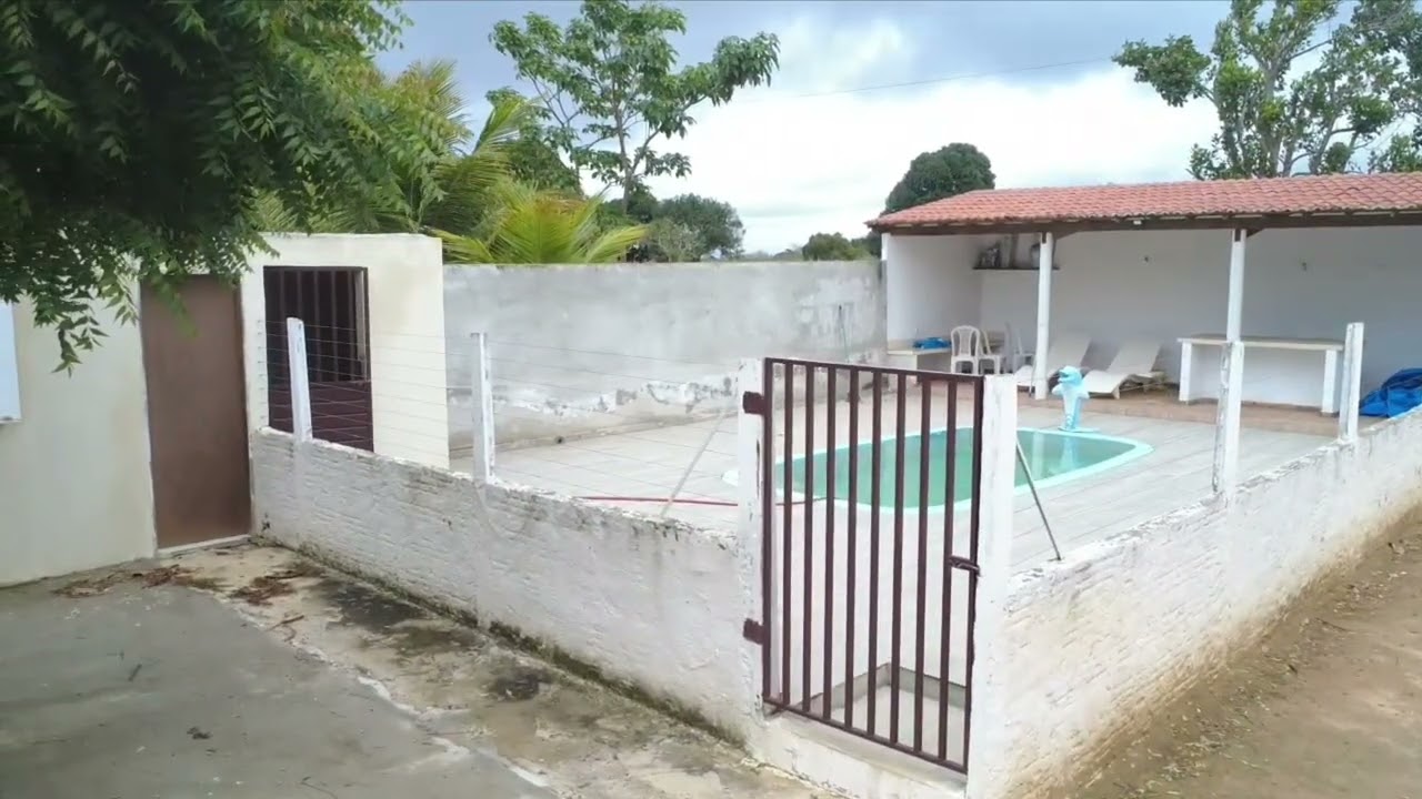 Hoje fui gravar as frutas 