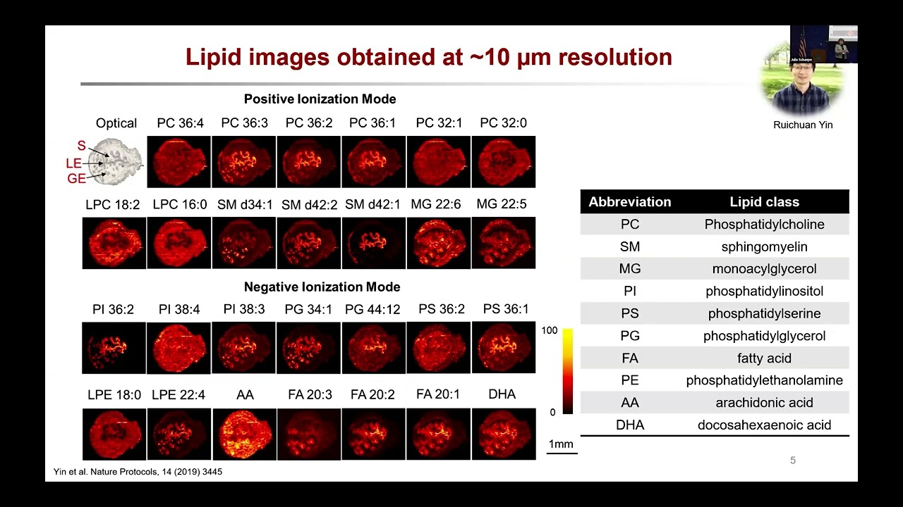 Advances in High-Resolution Ambient Mass Spectrometry Imaging | Julia Laskin | SCP25