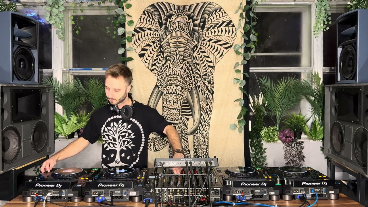 Elephant session # 152  Ōly Green 