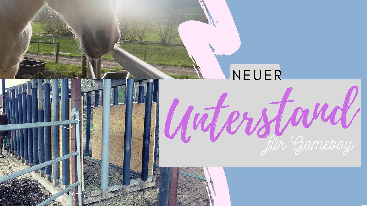 Gamys neuer Unterstand | Heuraufe bauen | UPDATE | white_ponie_trash
