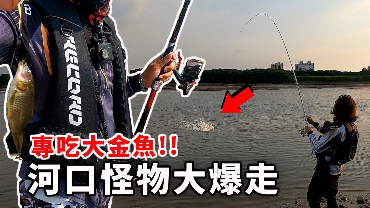 出海口秘密菜園 都是兇猛大魚 專吃大隻金魚 目印釣法 海口攻略@vsop0123 【怪奇釣魚系列3】【漁樂爽報】Fishing Fun NewsEP 88 #钓鱼 #磯釣 #新竹釣點 台湾の釣り