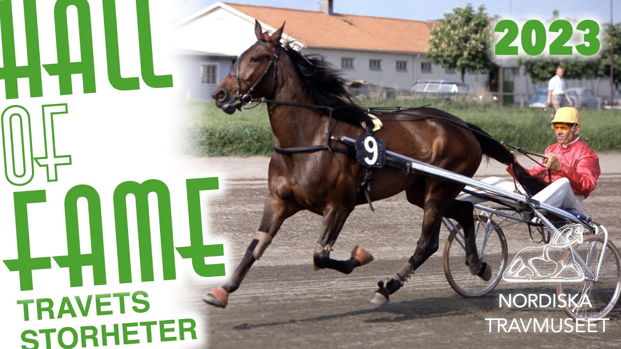 Julienne
