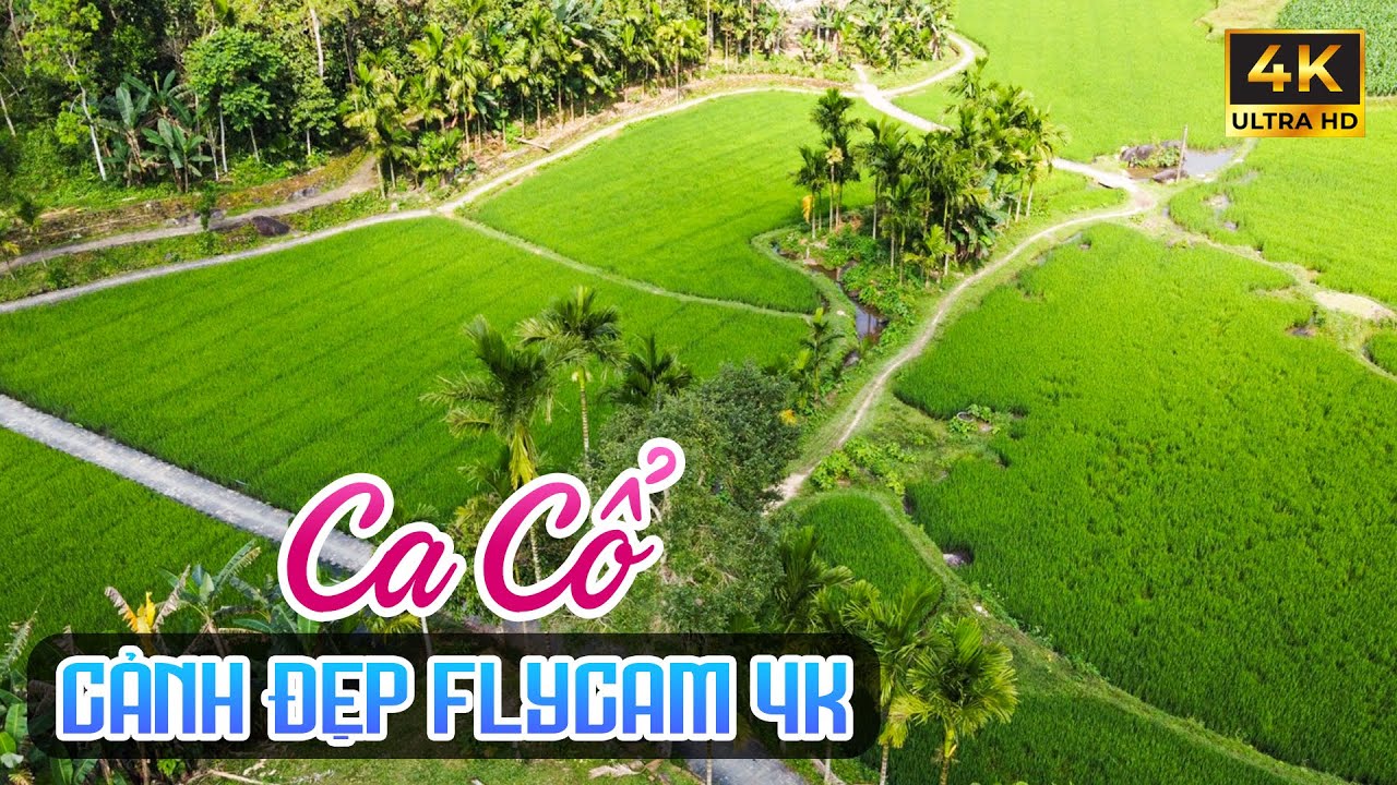 Vừa Ngủ Vừa Nghe Ca Cổ Hơi Dài Cảnh Đẹp Flycam 4K - Ca Cổ Cải Lương Ru Ngủ Hay Nhất🌾Tân Cổ Dân Ca