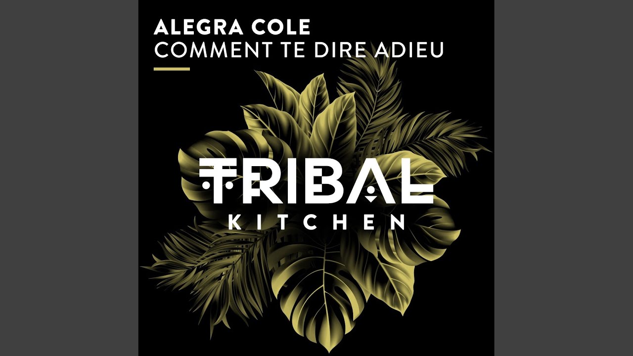 Comment Te Dire Adieu