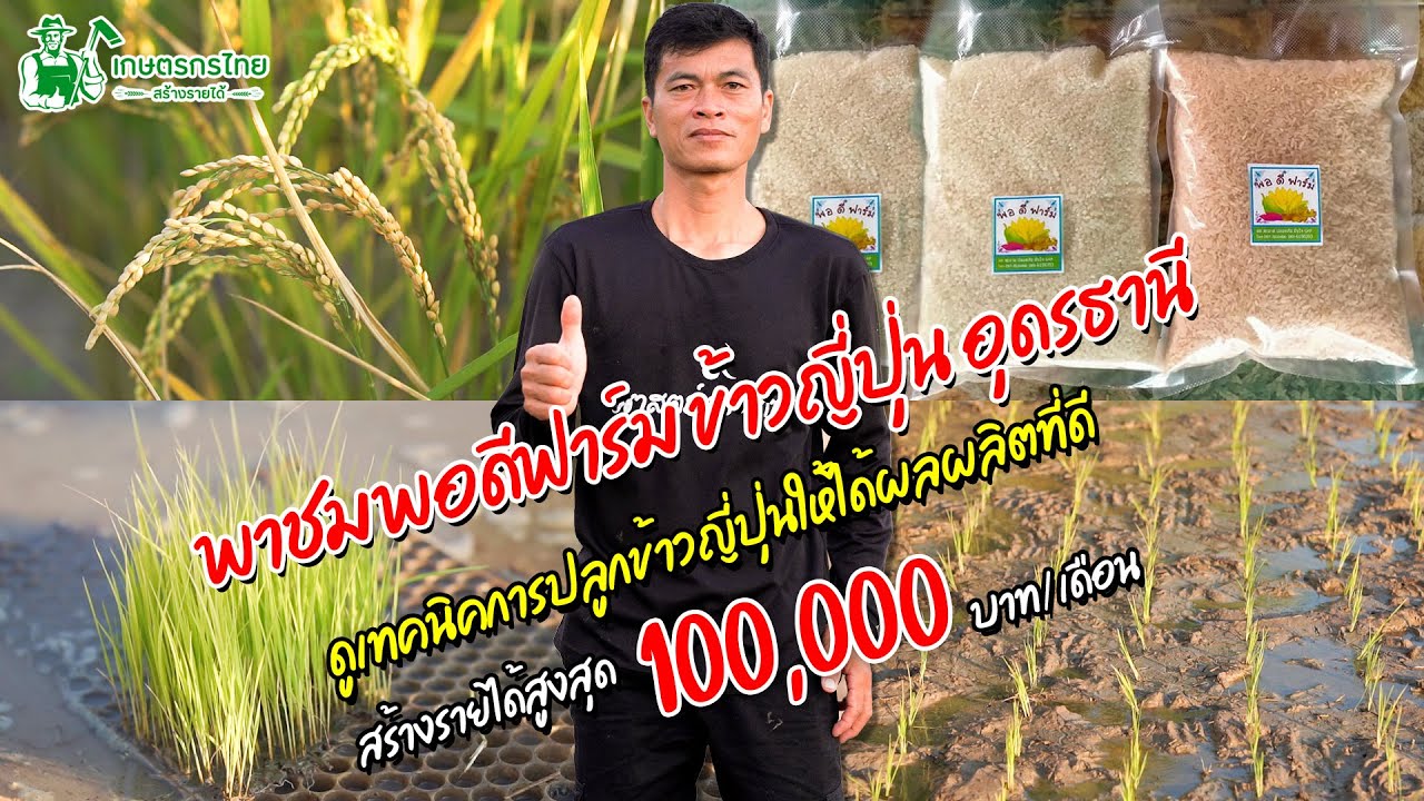 พาชมพอดีฟาร์มข้าวญี่ปุ่น เทคนิคการปลูก สร้างรายได้สูงสุด 100,000 บาท/เดือน l Ep119 ชมสวนเกษตรกรไทย