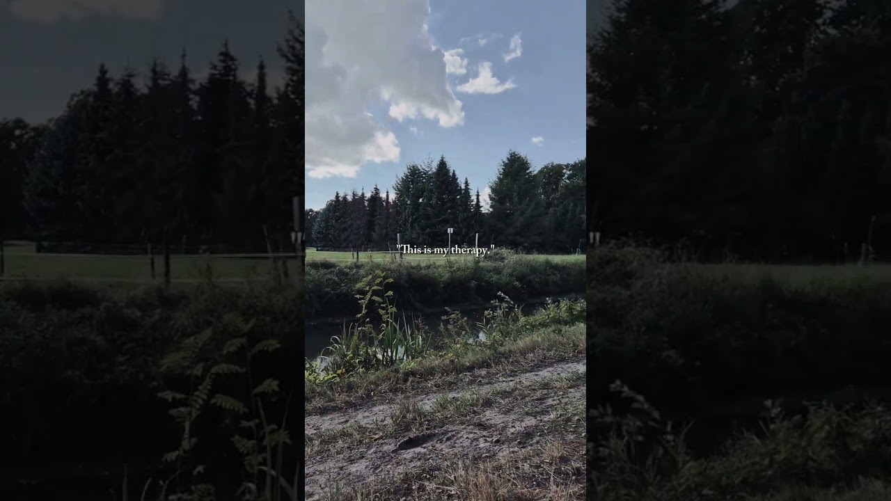 #1080pnature #hd #forest #nature #ormanlar #orman