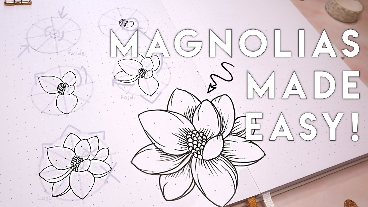 How To Draw The Magnolia Flower | Beginner Friendly
