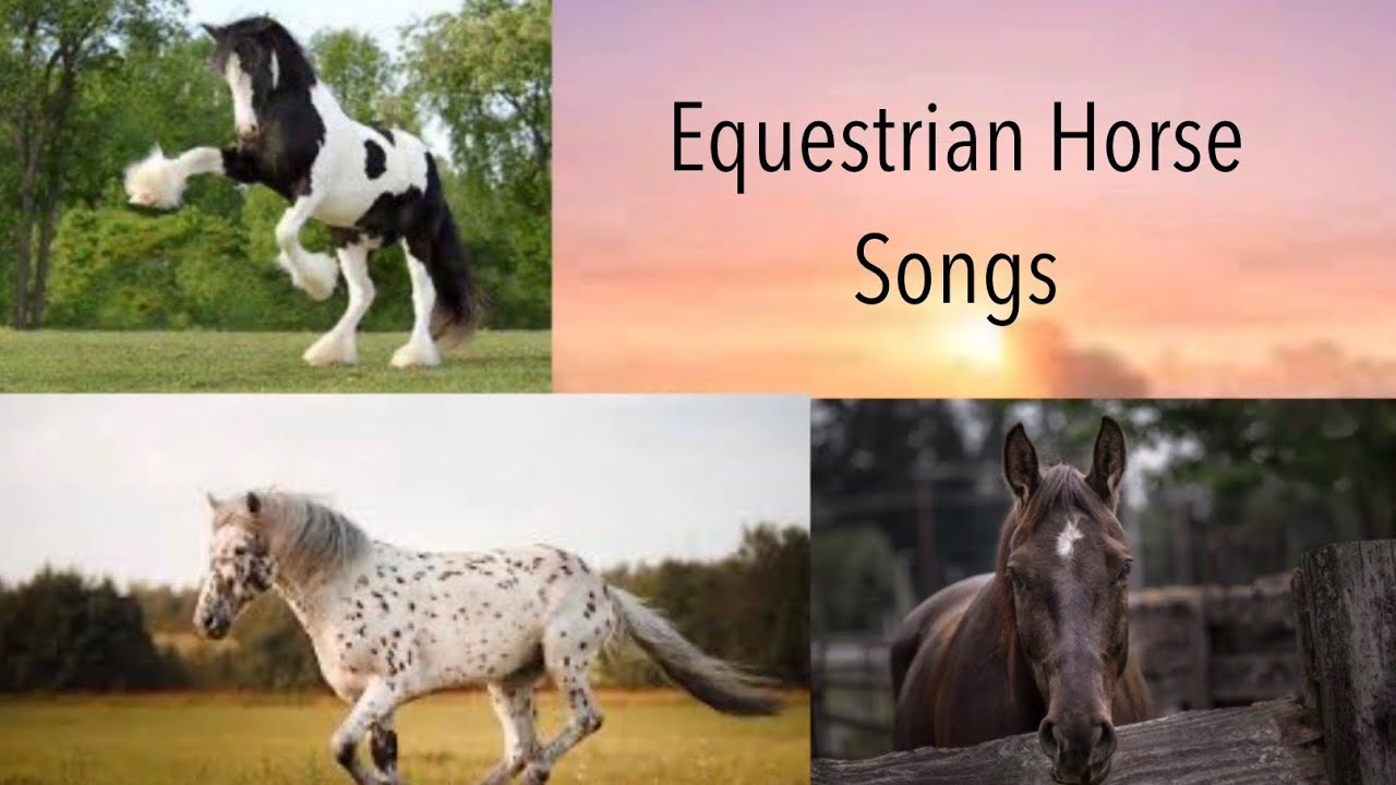 Equestrian Horse Songs