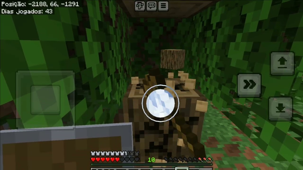 Parte6:fazendo e terminando a sala de baus