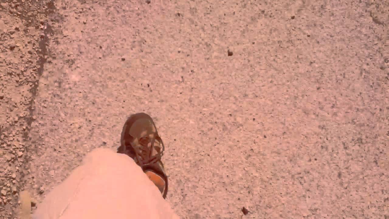 The Walk of Life - Arthur Werner 4000