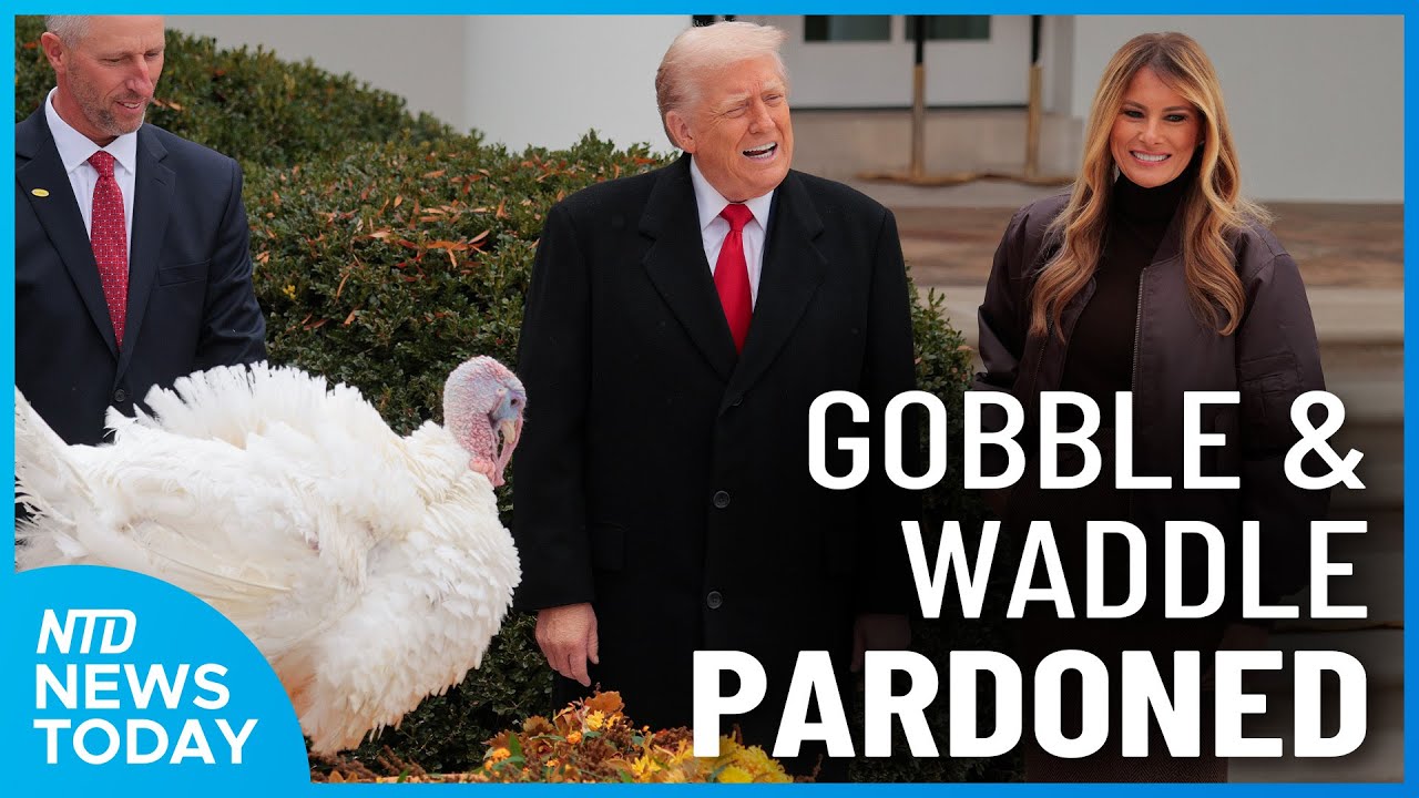 Trump Pardons Thanksgiving Turkeys; Zelenskyy Could Visit U.S. This Week | NTD News Today (Nov. 25)