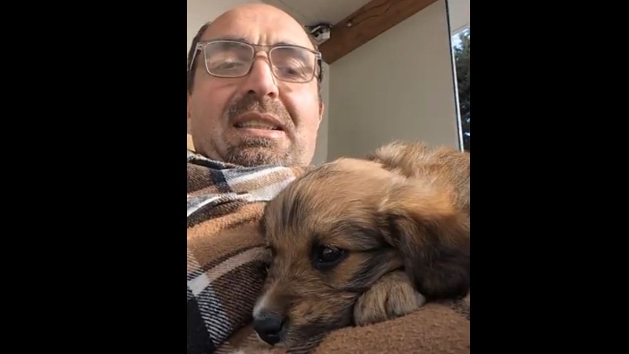 QUIZ in diretta con Simone Chiarelli ... collegati e prova a rispondere!