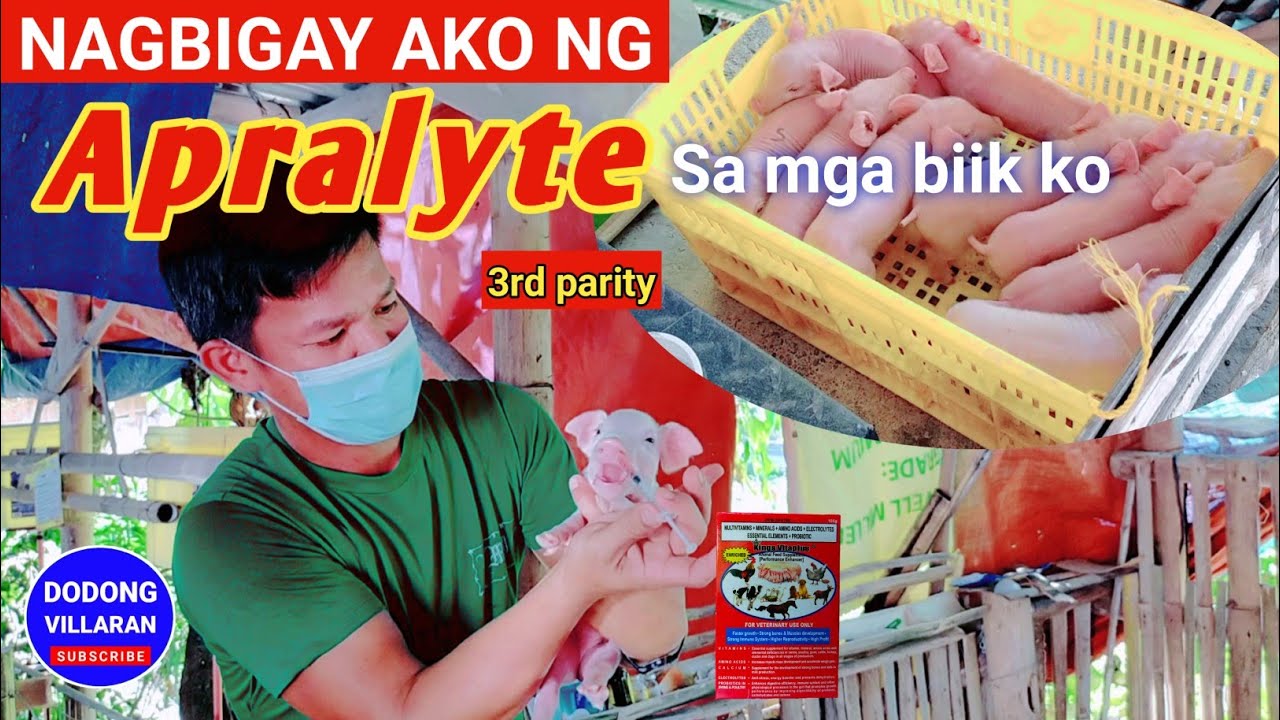 NAGBIGAY AKO APRALYTE SA MGA BIIK KO / Dodong Villaran / 3rd parity