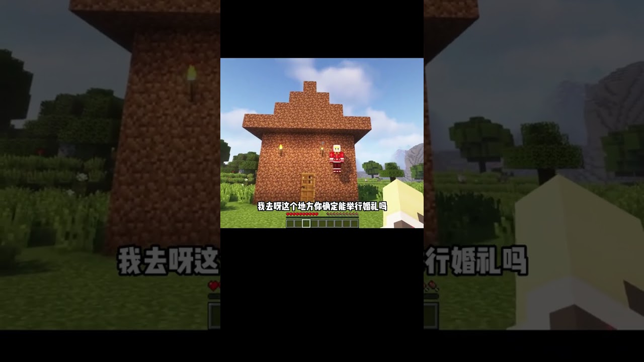 我的世界段子：什么是顶级萌新！ #我的世界