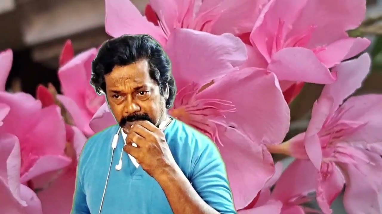 இலையை நீலா பொயிகிரது