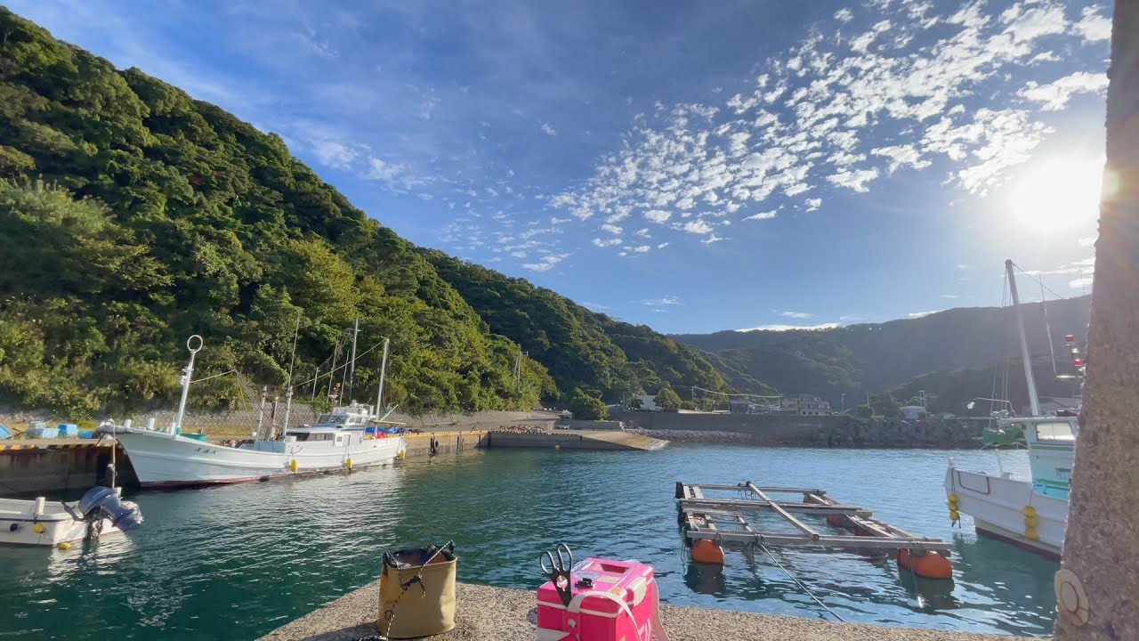 何が釣れるか分からない意外性！秋のライトゲーム。シネマティック釣りムービー　#４K