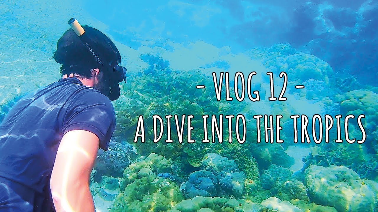 ABLE2SUSTAIN VLOG 12 - A DIVE INTO THE TROPICS