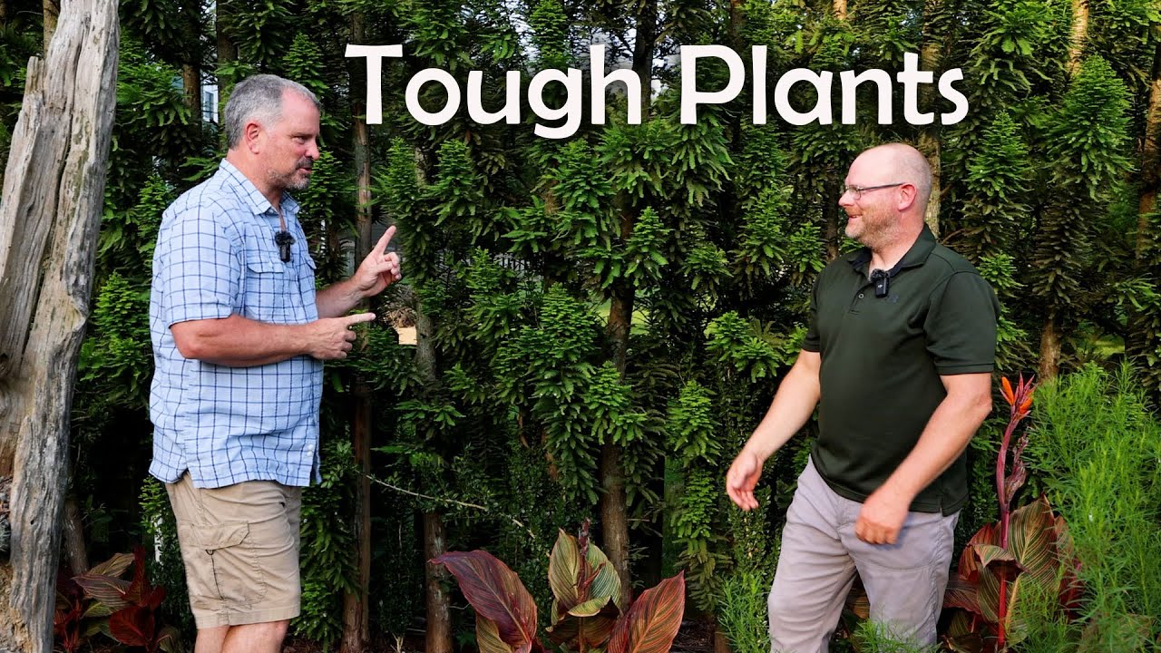 Great Plants for the Heat and the Cold