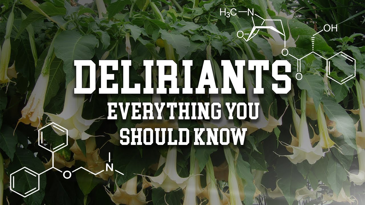 deliriants - everything you should know (video essay)